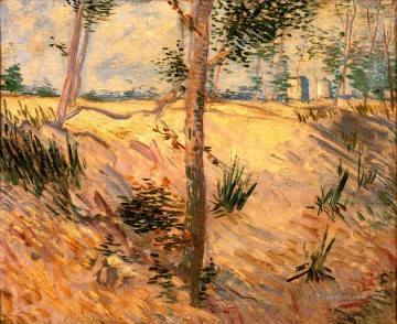 field - Trees in a Field on a Sunny Day Vincent van Gogh
